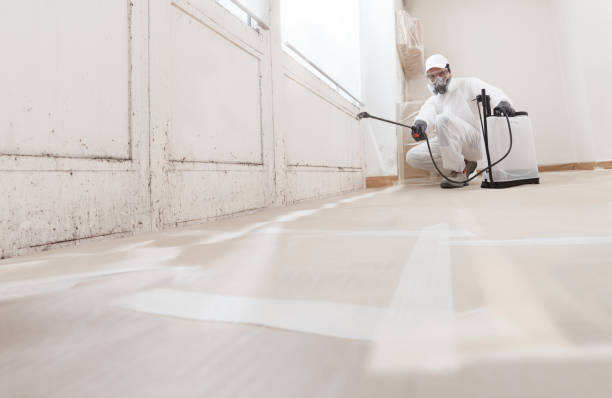 24/7 Emergency Mold Cleanup experts in Mesa, AZ